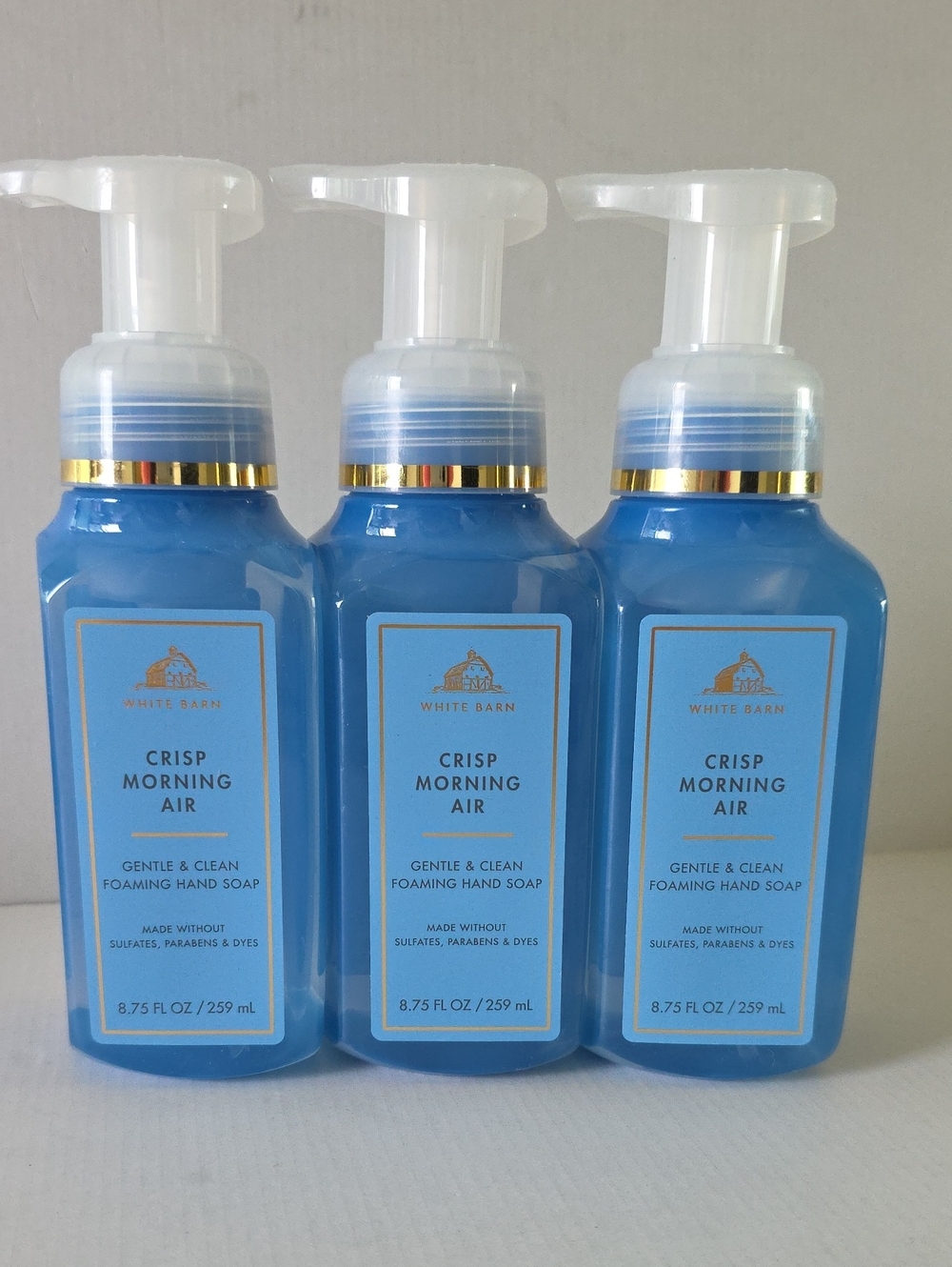 White Barn Crisp Morning Air Foaming Hand Soap - Bath & Body Works